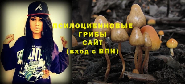 spice Ладушкин