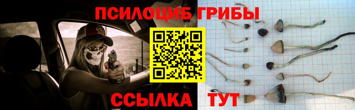 Псилоцибиновые грибы мухоморы  хочу   Ростов-на-Дону  Галлюциногенные грибы Psilocybine cubensis  Вход с VPN 