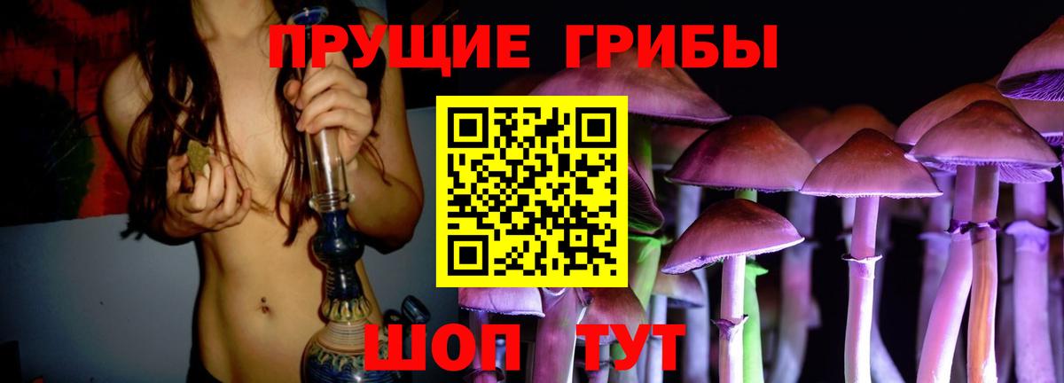 закладки  Галлюциногенные грибы Cubensis  Ростов-на-Дону  Псилоцибиновые грибы мицелий 